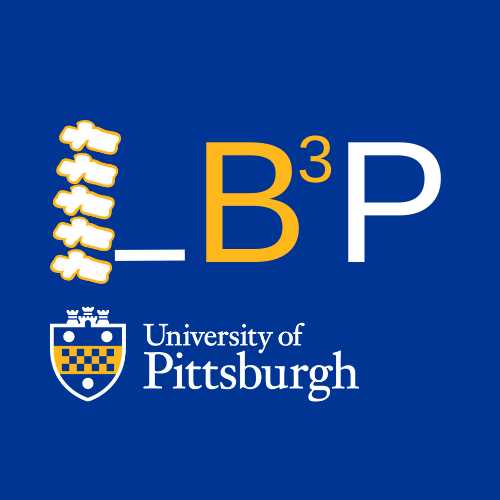 B3P logo